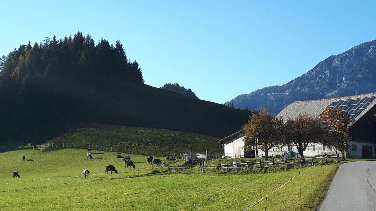 شقة Kulmerhof - Farm بروغيرن المظهر الخارجي الصورة